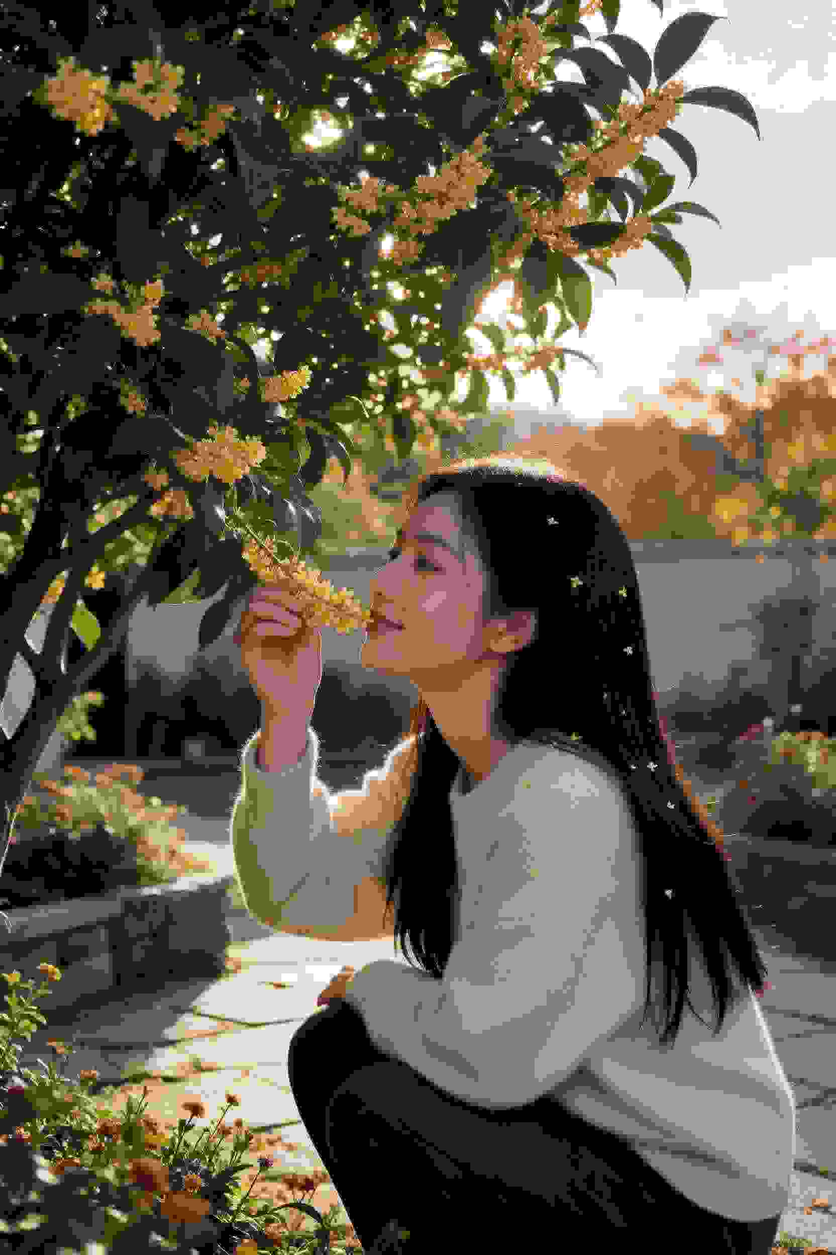 灵法师的觉醒
